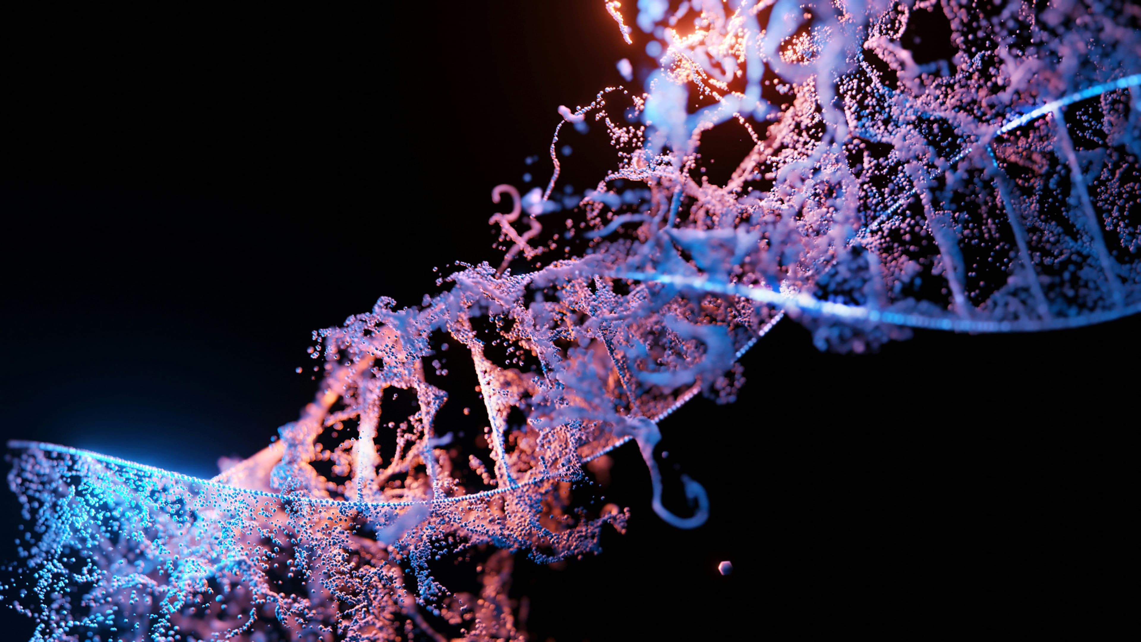 B MIF_bioinformatika_II.jpg